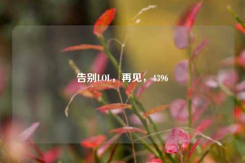 告别LOL,再见,4396