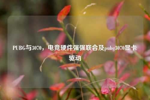 PUBG与3070,电竞硬件强强联合及pubg3070显卡驱动