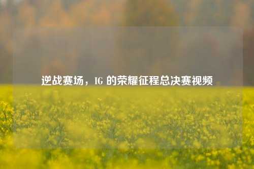 逆战赛场,IG 的荣耀征程总决赛视频