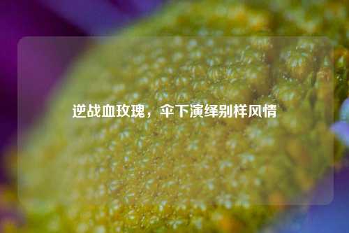 逆战血玫瑰,伞下演绎别样风情