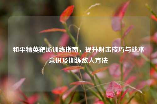 和平精英靶场训练指南,提升射击技巧与战术意识及训练敌人