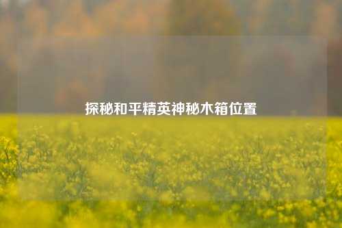 探秘和平精英神秘木箱位置