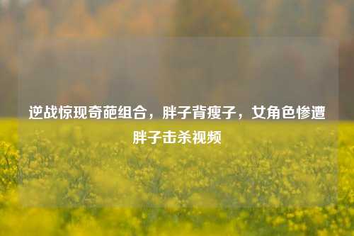 逆战惊现奇葩组合,胖子背瘦子,女角色惨遭胖子击杀视频
