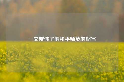 一文带你了解和平精英的缩写