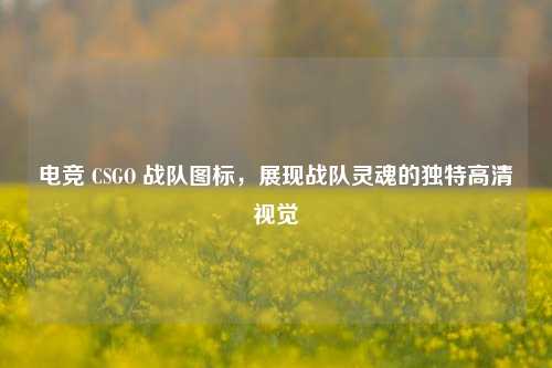电竞 CSGO 战队图标,展现战队灵魂的独特高清视觉