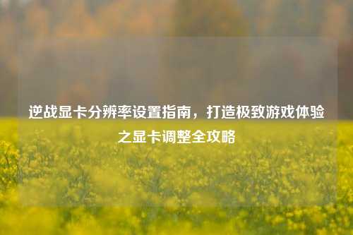 逆战显卡分辨率设置指南,打造极致游戏体验之显卡调整全攻略