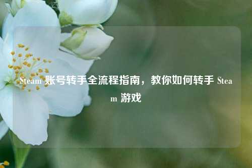 Steam 账号转手全流程指南,教你如何转手 Steam 游戏