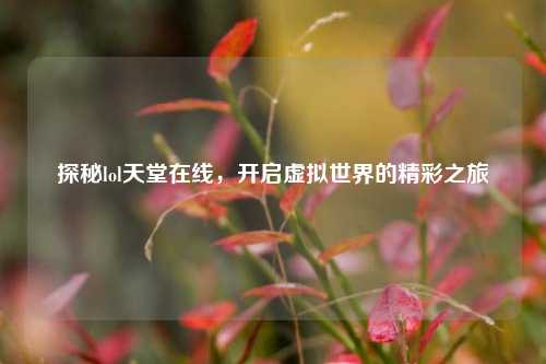 探秘lol天堂在线,开启虚拟世界的精彩之旅
