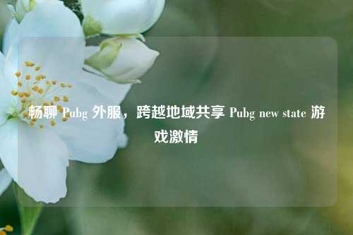 畅聊 Pubg 外服,跨越地域共享 Pubg new state 游戏