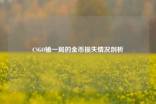CSGO输一局的金币损失情况剖析
