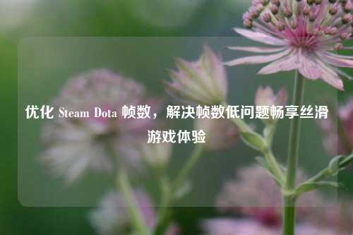 优化 Steam Dota 帧数,解决帧数低问题畅享丝滑游戏体验