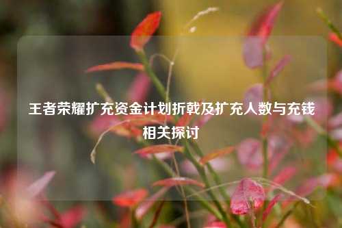王者荣耀扩充资金计划折戟及扩充人数与充钱相关探讨
