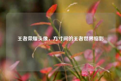 王者荣耀头像,方寸间的王者世界缩影