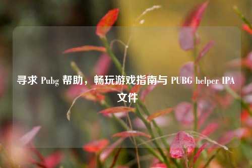 寻求 Pubg 帮助,畅玩游戏指南与 PUBG helper IPA 文件