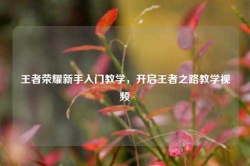 王者荣耀新手入门教学,开启王者之路教学视频
