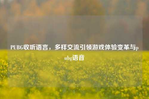 PUBG收听语言,多样交流引领游戏体验变革与pubg语音