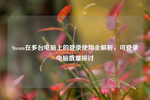 Steam在多台电脑上的登录使用全解析,可登录电脑数量探讨