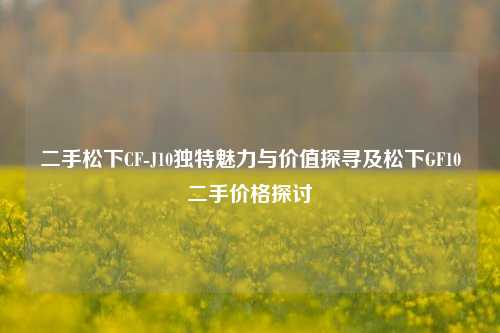 二手松下CF-J10独特魅力与价值探寻及松下GF10二手价格探讨