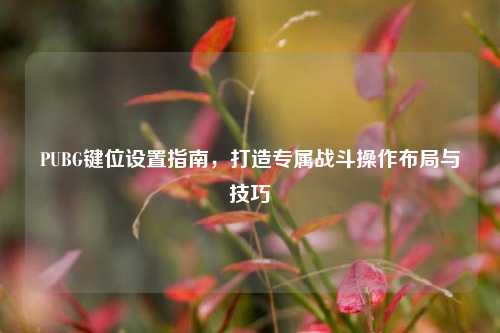 PUBG键位设置指南,打造专属战斗操作布局与技巧