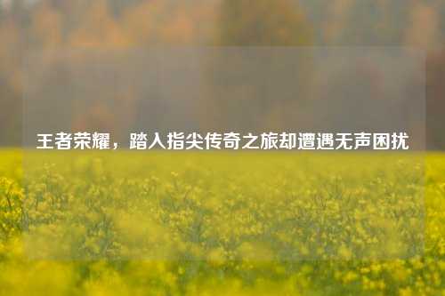 王者荣耀,踏入指尖传奇之旅却遭遇无声困扰