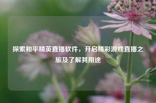探索和平精英直播软件,开启精彩游戏直播之旅及了解其用途
