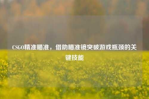 CSGO精准瞄准,借助瞄准镜突破游戏瓶颈的关键技能
