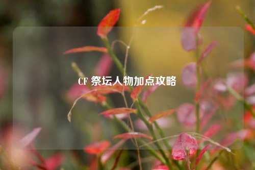 CF 祭坛人物加点攻略