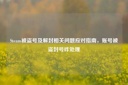 Steam被盗号及解封相关问题应对指南,账号被盗封号咋处理