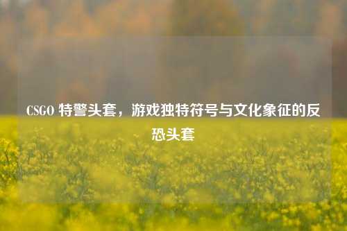 CSGO 特警头套,游戏独特符号与文化象征的反恐头套