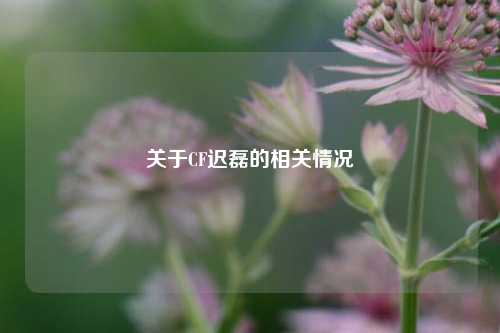 关于CF迟磊的相关情况