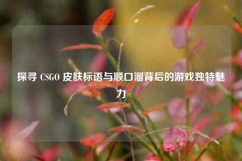 探寻 CSGO 皮肤标语与顺口溜背后的游戏独特魅力