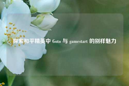 探索和平精英中 Goto 与 gamestart 的别样魅力