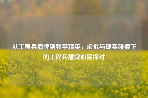 从工程兵盾牌到和平精英,虚拟与现实碰撞下的工程兵盾牌血量探讨