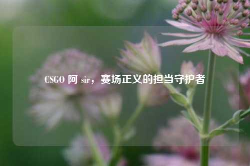 CSGO 阿 sir,赛场正义的担当守护者