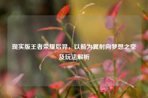 现实版王者荣耀后羿,以箭为翼射向梦想之空及玩法解析