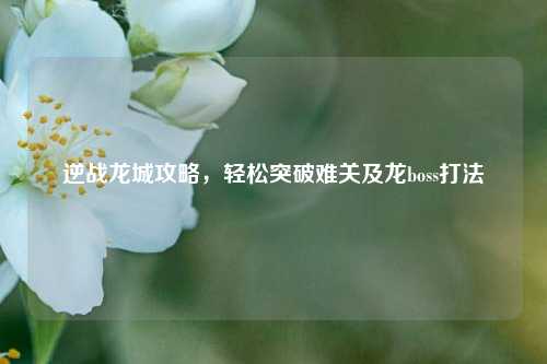 逆战龙城攻略,轻松突破难关及龙boss打法