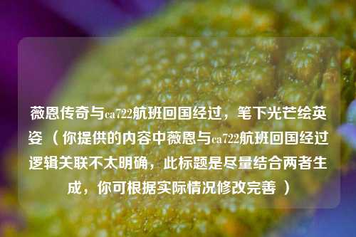 薇恩传奇与ca722航班回国经过,笔下光芒绘英姿 (你提供的内容中薇恩与ca722航班回国经过逻辑关联不太明确,此标题是尽量结合两者生成,你可根据实际情况修改完善 )