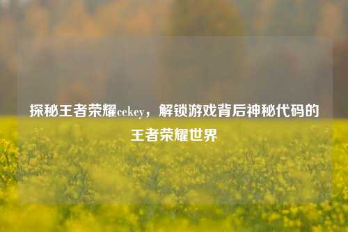 探秘王者荣耀cekey,解锁游戏背后神秘代码的王者荣耀世界