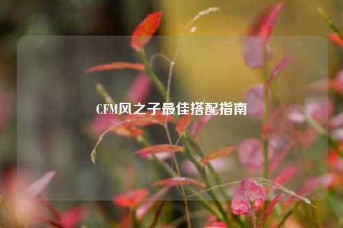CFM风之子更佳搭配指南