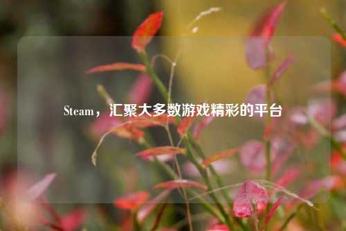 Steam,汇聚大多数游戏精彩的平台
