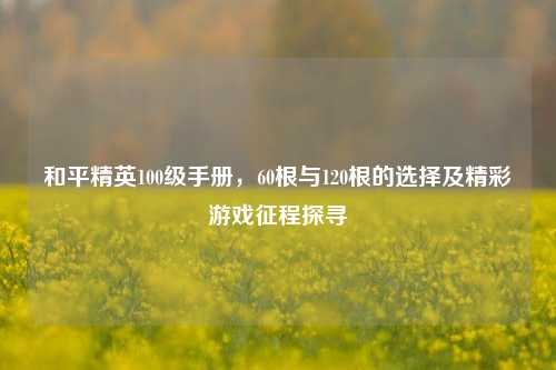 和平精英100级手册,60根与120根的选择及精彩游戏征程探寻