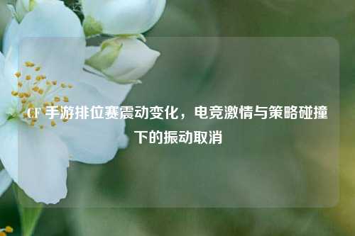 CF 手游排位赛震动变化,电竞 与策略碰撞下的振动取消