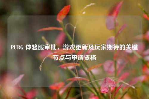 PUBG 体验服审批,游戏更新及玩家期待的关键节点与申请资格