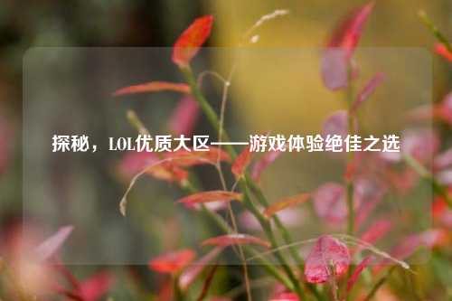 探秘,LOL优质大区——游戏体验绝佳之选