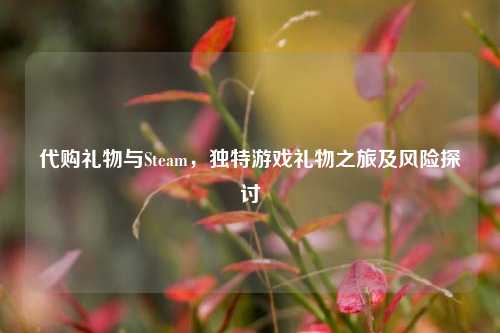 礼物与Steam,独特游戏礼物之旅及风险探讨