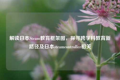 解读日本Steam教育框架图,探寻跨学科教育新路径及日本steamcontroller相关