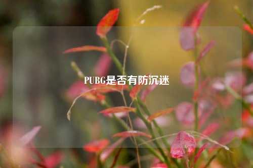 PUBG是否有防沉迷