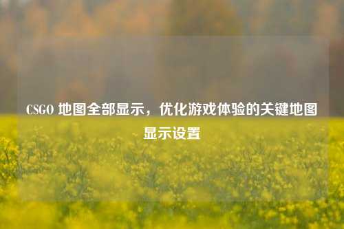 CSGO 地图全部显示,优化游戏体验的关键地图显示设置