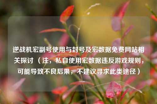 逆战机宏副号使用与封号及宏数据免费网站相关探讨 (注,私自使用宏数据违反游戏规则,可能导致不良后果,不建议寻求此类途径)