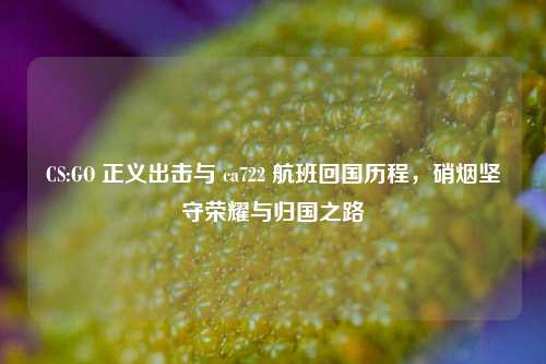 CS:GO 正义出击与 ca722 航班回国历程,硝烟坚守荣耀与归国之路